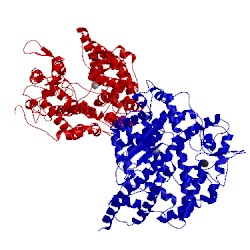 Image of CATH 3scj