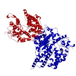 Image of CATH 3sck