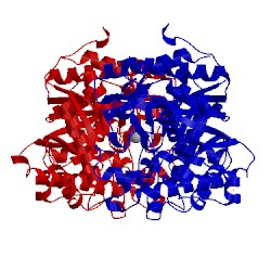 Image of CATH 3scq