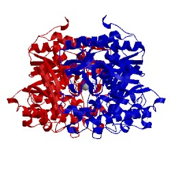 Image of CATH 3scs