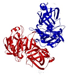 Image of CATH 3sfc