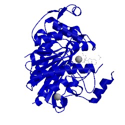 Image of CATH 3sfh