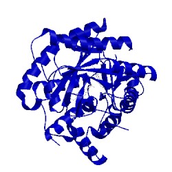 Image of CATH 3sfk