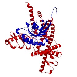 Image of CATH 3sfv