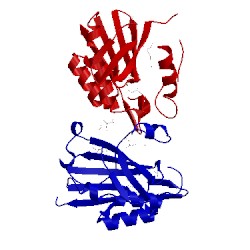 Image of CATH 3shp