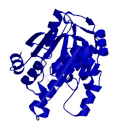 Image of CATH 3sii