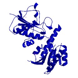 Image of CATH 3siw