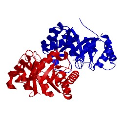 Image of CATH 3sj3