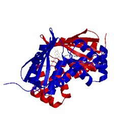 Image of CATH 3sj5