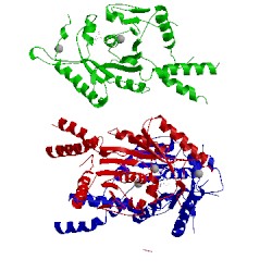 Image of CATH 3sjd