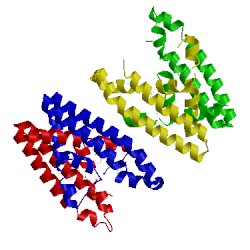 Image of CATH 3sjr