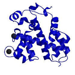 Image of CATH 3sjs