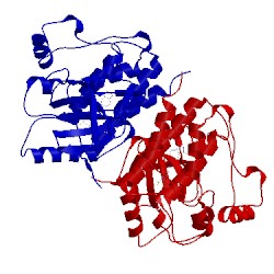 Image of CATH 3skc