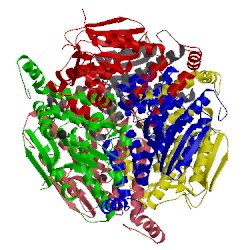 Image of CATH 3sll