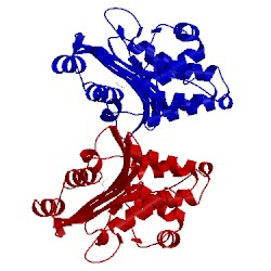 Image of CATH 3soi