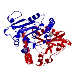 Image of CATH 3sp4