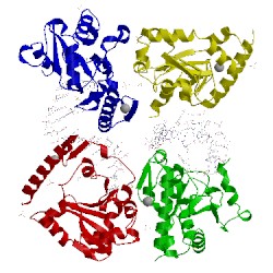 Image of CATH 3spd