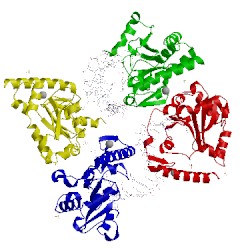 Image of CATH 3spl