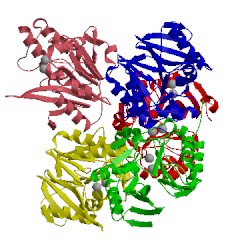Image of CATH 3spu
