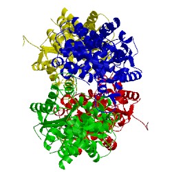 Image of CATH 3ss3