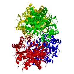 Image of CATH 3ss5
