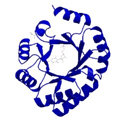 Image of CATH 3ssj