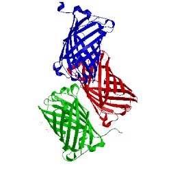 Image of CATH 3st2