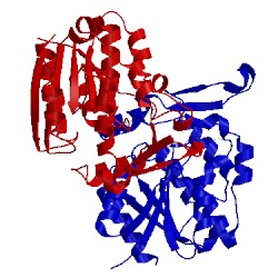 Image of CATH 3stw