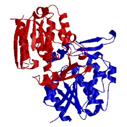 Image of CATH 3stx