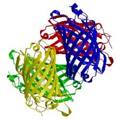 Image of CATH 3svn