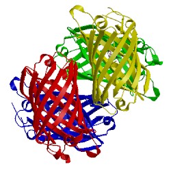 Image of CATH 3svr