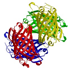 Image of CATH 3svr