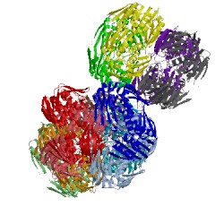 Image of CATH 3swd