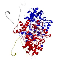 Image of CATH 3sws