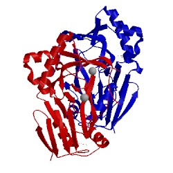 Image of CATH 3swt