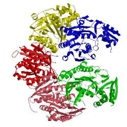 Image of CATH 3sxp