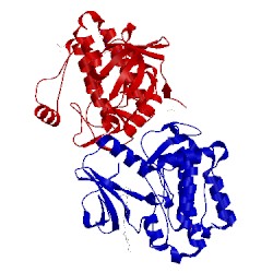 Image of CATH 3sxr