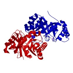 Image of CATH 3sy5