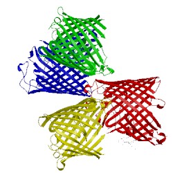 Image of CATH 3sy9