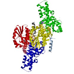 Image of CATH 3syn