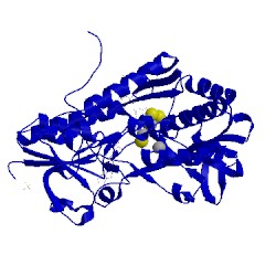 Image of CATH 3szc