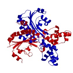 Image of CATH 3szt