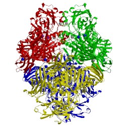 Image of CATH 3t0a