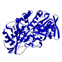 Image of CATH 3t37