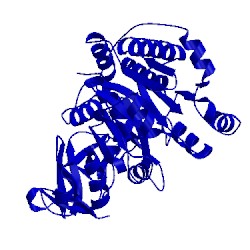 Image of CATH 3t5b