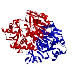 Image of CATH 3t5c