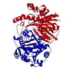 Image of CATH 3t5y