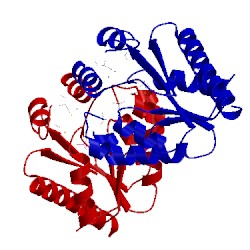 Image of CATH 3t61