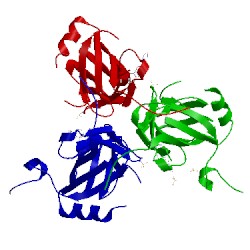 Image of CATH 3t6y