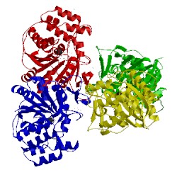 Image of CATH 3t8i